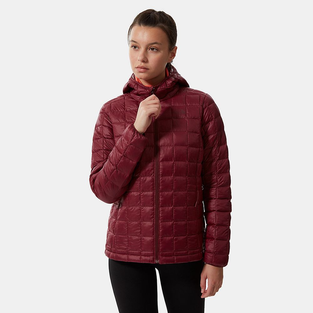 The North Face Hooded Jacket Womens Australia - The North Face Thermoball™ Eco Red Hiking (GFQ-62590